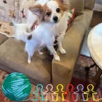 Janet Goldstein - Facebook Profile Picture of Janet Goldstein (@janet.goldstein.2025) on Facebook