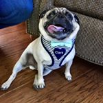 Profile Picture of Clark W Griswold Rogers (@clarkwgriswoldrogers) on Instagram