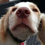 Profile Picture of Claire Rostern (@clairerostern) on Instagram