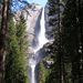 Profile Picture of Joel Tanner (@jftanner53) on Pinterest