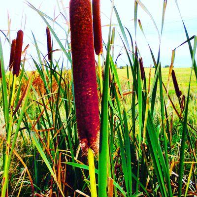 Profile Picture of Tom Jelen (@tomasjelinek21) on Twitter