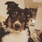 Profile Picture of Ben Berwick (@giantben13) on Instagram