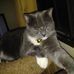 Profile Picture of Grant McCall (@grant.mccall.50) on Facebook