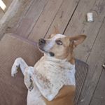 Profile Picture of Cameron casey (@cameroncasey42) on Instagram