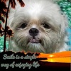 Profile Picture of charmaine_singh (@@charmaine_singh) on Tiktok