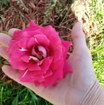 Profile Picture of Crystal Gail Smith Epley (@crystal.gail.967) on Facebook