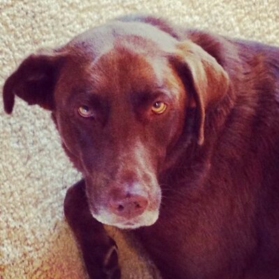 Jerry Spindler - Twitter Profile Picture of Jerry Spindler (@jerrylspindler) on Twitter