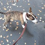 Profile Picture of Michael Röhl (@montage.m.r) on Instagram