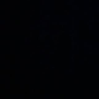 Profile Picture of Lacey Thornton (@lacey.thornton) on Instagram