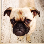 Profile Picture of Caroline Loewengart (@twinklelash) on Flickr