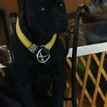 Profile Picture of Joy Guzman (@joy.guzman.798) on Instagram