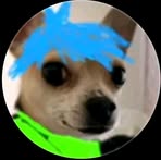 Profile Picture of Alexis Albino (@alexis.albino.197133) on Facebook