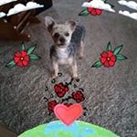 Profile Picture of Cecile Charron (@cecile.charron.3) on Instagram