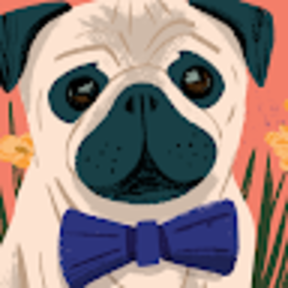 Profile Picture of Christine Franko (@christinefra208) on Poshmark