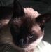 Profile Picture of Joni Conway (@Joni-Conway) on Facebook