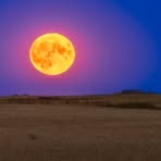 Profile Picture of Charles Bender (@Charles-Bender) on Facebook