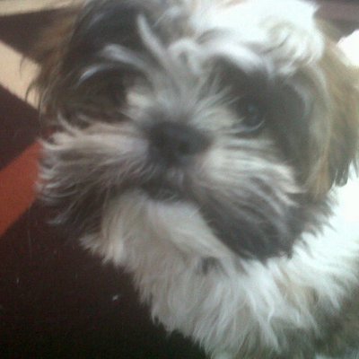 Profile Picture of Mark Dearden (@MarkDearden99) on Twitter