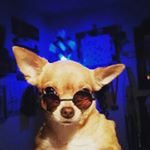 Profile Picture of Corey Shaffer (@coraryferrari) on Instagram