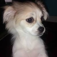 Profile Picture of Claudia Olea Nicolas (@claudia-olea-nicolas) on Quora