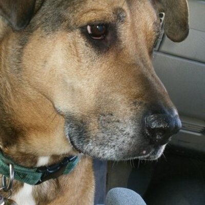 Profile Picture of Matt Kellett (@m1kell) on Twitter