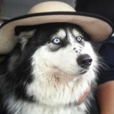 Profile Picture of Ben Lauterbach (@BenLauterbach1) on Twitter
