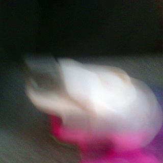 Profile Picture of Tb Joshua Aime (@tbjoshua.aime) on Facebook