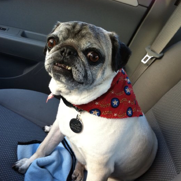 Profile Picture of Daniel Norton (@golfpike3) on Poshmark