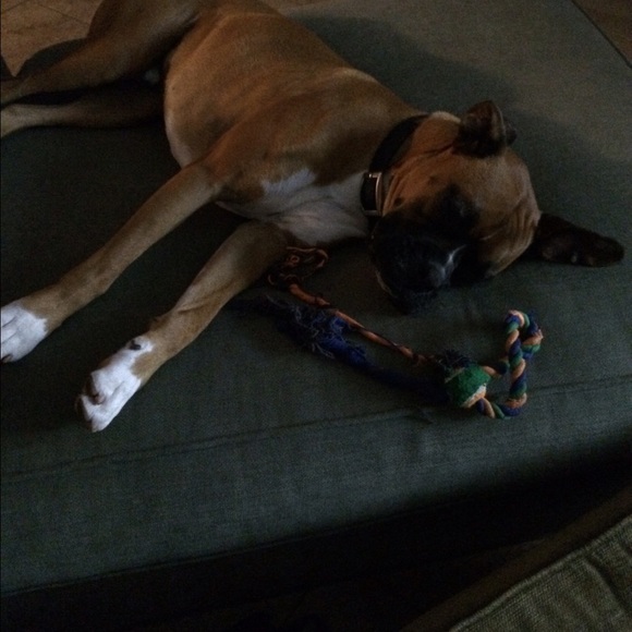 Profile Picture of Dempsey So (@dempsey2013) on Poshmark