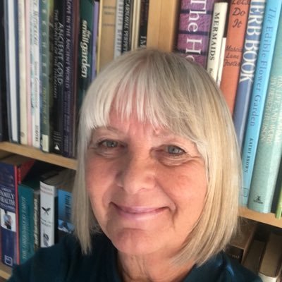 Profile Picture of Theresa Tomlinson Author (@Theresa49036619) on Twitter