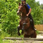 Profile Picture of Michael Zwickenpflug (@michi_x_z) on Instagram