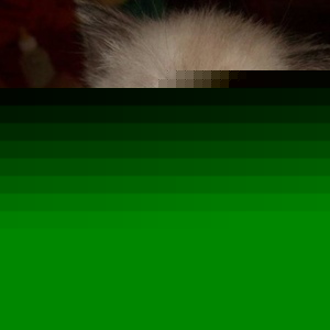 Profile Picture of Noah Cordova (@324899012) on Myspace