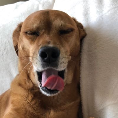 Profile Picture of Mark Yerger (@buck1548) on Twitter