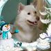 Profile Picture of Gigi Ledesma (@gigi.ledesma.77) on Facebook