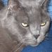 Profile Picture of Jan Hahn (@jan.hahn.330) on Facebook