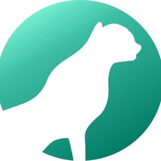 Wild Spirit Fund - Instagram Profile Picture of Wild Spirit Fund (@wildspiritfund) on Instagram