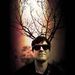 Profile Picture of Christopher Shultz (@81cents0224) on Pinterest