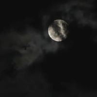 Shamama Irfan - Quora Profile Picture of Shamama Irfan (@shamama-irfan) on Quora