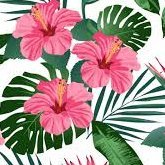 Profile Picture of John Malinowski (@JohnMalinowsk18) on Twitter