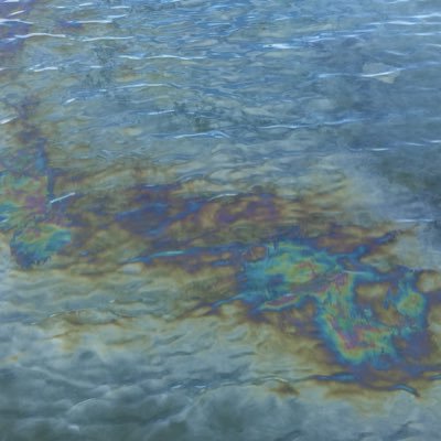 Profile Picture of Mark McKinnie (@mamckinnie) on Twitter