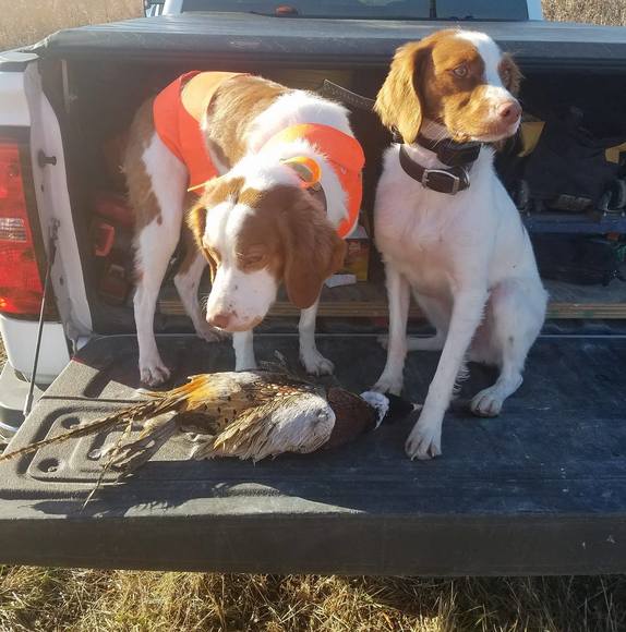 Derek Michaletz - Poshmark Profile Picture of Derek Michaletz (@dmichaletz) on Poshmark