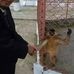 Profile Picture of Bellal Hossain (@bellal.hossain.7906932) on Facebook