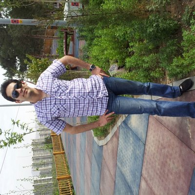 Profile Picture of Alireza Moghaddam (@moghaddam562) on Twitter