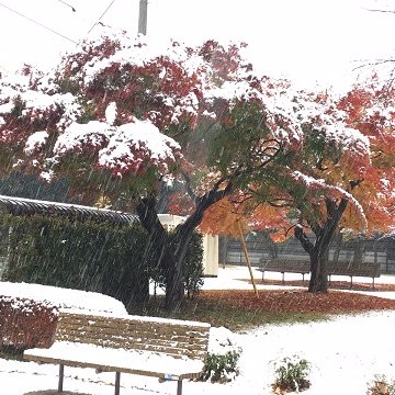 Profile Picture of Ruby Zhang (@RubyZha58505070) on Twitter