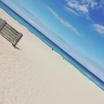 Profile Picture of Taylor McCarthy (@taylormay74) on Instagram