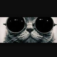 Profile Picture of Samer Rawashdeh (@samer-rawashdeh-2) on Quora