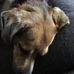 Profile Picture of Sheryl Fowler (@sheryl.fowler.967) on Facebook