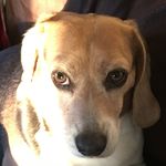 Profile Picture of Tyler Healy (@healy3918) on Instagram