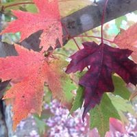 Profile Picture of Pat Cheeks (@pat-cheeks) on Quora