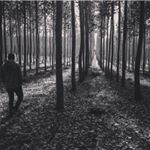 Logan Neal - Instagram Profile Picture of Logan Neal (@gnarnicles_of_logan) on Instagram