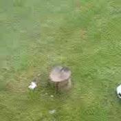 Profile Picture of Stuart Hayes (@studogg99) on Youtube